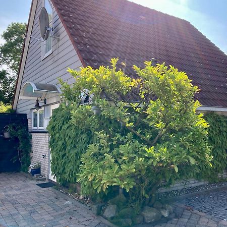 Gudrun 5 Pers Equipped House With Sauna. Dogs Are Welcome! Anjum 外观 照片