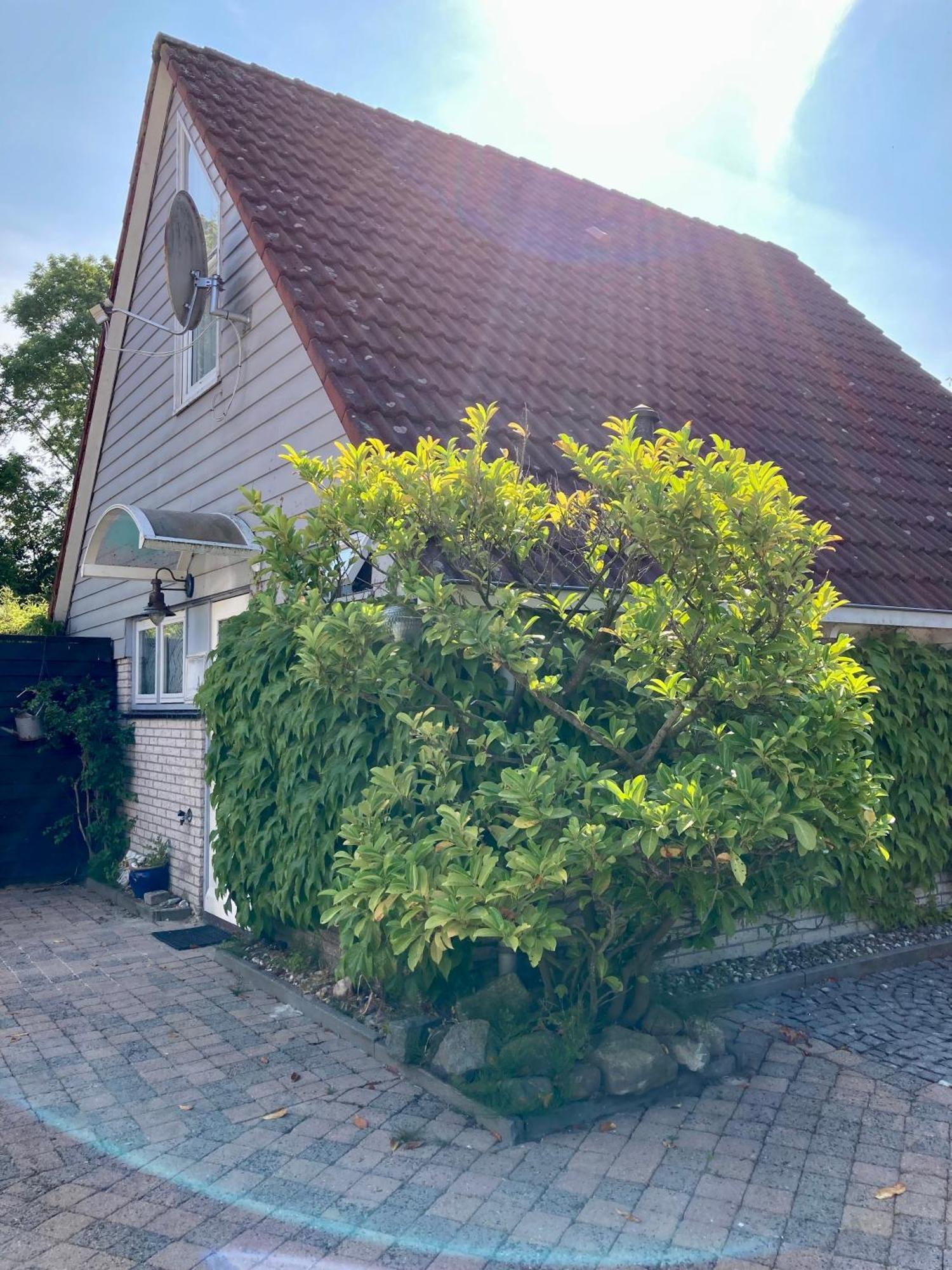 Gudrun 5 Pers Equipped House With Sauna. Dogs Are Welcome! Anjum 外观 照片