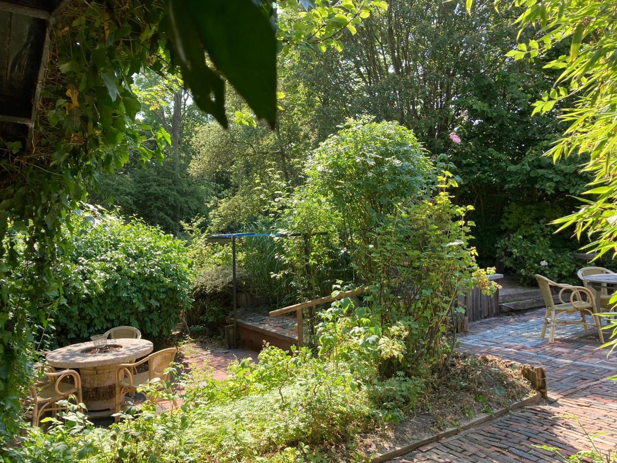 Gudrun 5 Pers Equipped House With Sauna. Dogs Are Welcome! Anjum 外观 照片