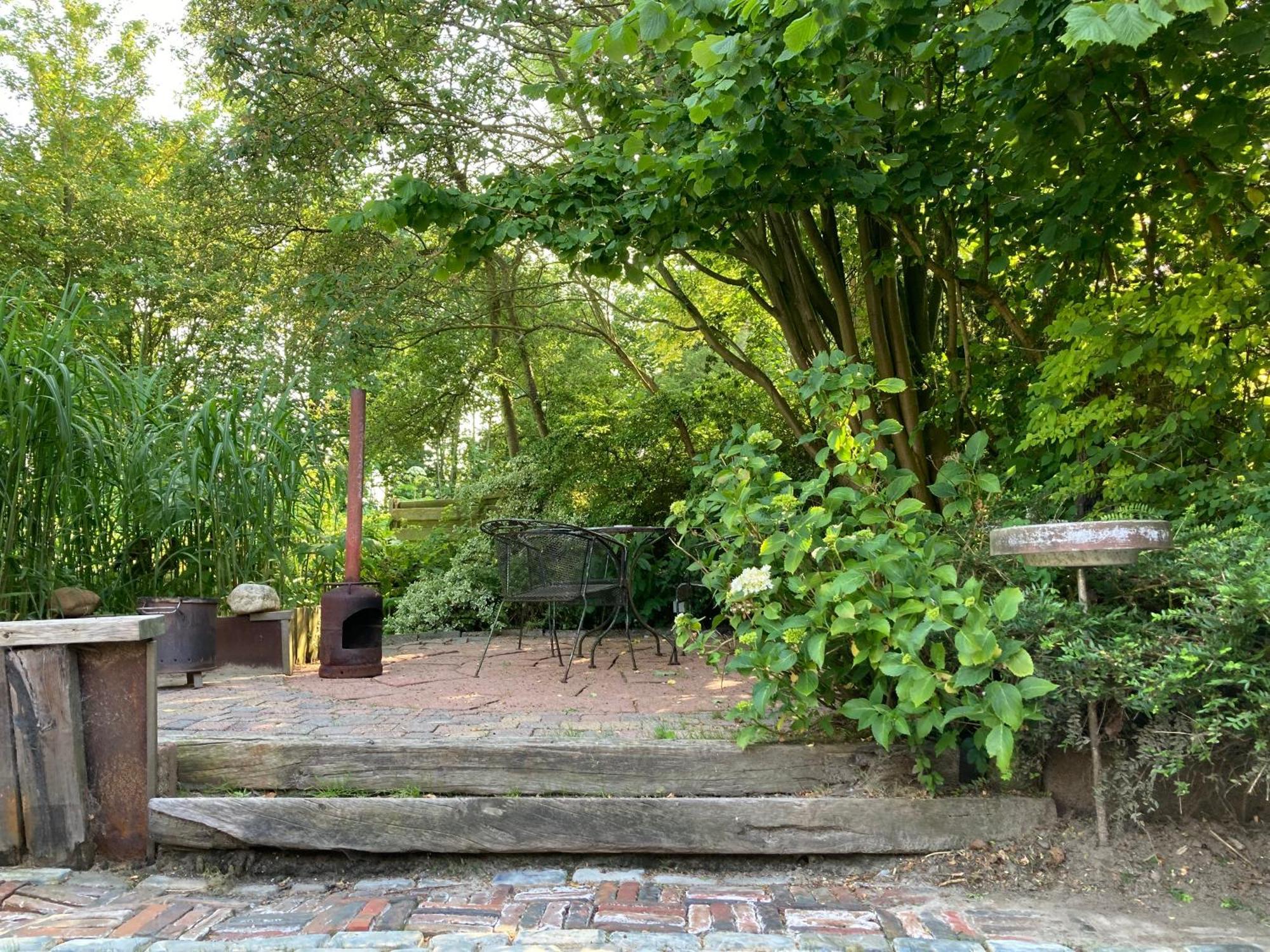 Gudrun 5 Pers Equipped House With Sauna. Dogs Are Welcome! Anjum 外观 照片